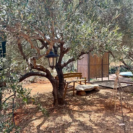 The Secret Treehouse Apartment