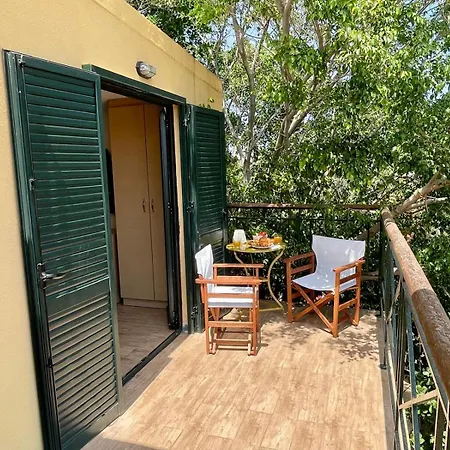 The Secret Treehouse Apartment